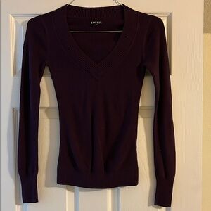 Express Women's Rich Purple V-Neck Sweater